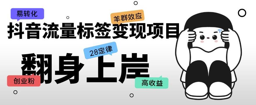 抖音流量标签变现项目,抖音创业粉轻松转化,单价高收益简单-风淘社
