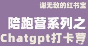 谢无敌ChatGPT打卡营，教你更好地使用ChatGPT来提高工作效率-风淘社