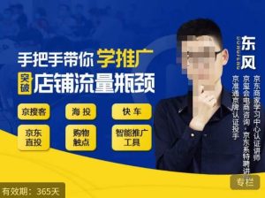 手把手带你学京东推广,突破店铺流量瓶颈,京搜客海投快车购物触点京东直投智能推广工具等-风淘社