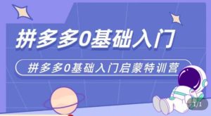 六一电商·拼多多运营0-1实操特训营,拼多多从基础到进阶的可实操玩法-风淘社