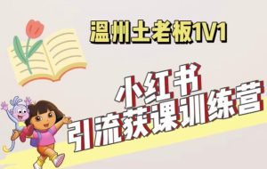 小红书1对1引流获客训练营：账号、内容、引流、成交（价值3999元）-风淘社