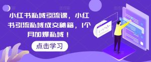 小红书私域引流课，小红书引流私域成交秘籍，1个月加爆私域！-风淘社