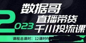 数据哥2023直播电商巨量千川付费投流实操课,快速掌握直播带货运营投放策略-风淘社