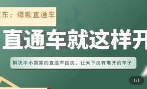 冠东·淘系直通车保姆级教程,全面讲解直通车就那么简单-风淘社