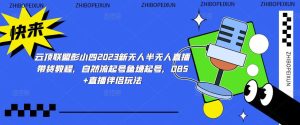 云顶联盟彭小四2023新无人半无人直播带货教程,自然流起号鱼塘起号,OBS+直播伴侣玩法-风淘社