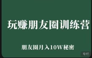 玩赚朋友圈系统课，朋友圈月入10W的秘密，​7天系统图文课程-风淘社