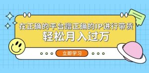 在正确的平台蹭正确的IP进行带货，轻松月入过万-风淘社
