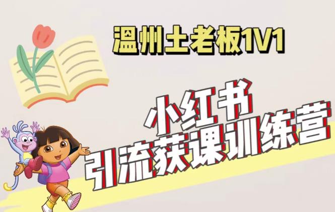 小红书1对1引流获客训练营:账号、内容、引流、成交(价值3999元)-风淘社
