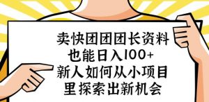 卖快团团团长资料也能日入100+新人如何从小项目里探索出新机会-风淘社
