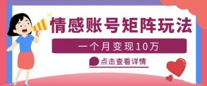 云天情感账号矩阵项目,简单操作,月入10万+可放大(教程+素材)-风淘社