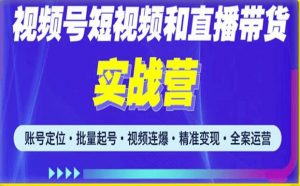 2023最新微信视频号引流和变现全套运营实战课程，小白也能玩转视频号短视频和直播运营-风淘社