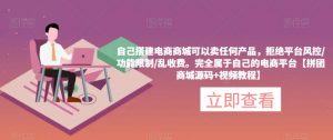 自己搭建电商商城可以卖任何产品,完全属于自己的电商平台【拼团商城源码+视频教程】-风淘社