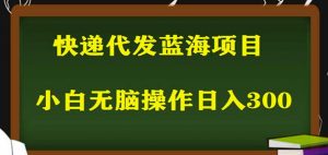 2023最新蓝海快递代发项目，小白零成本照抄也能日入300+-风淘社