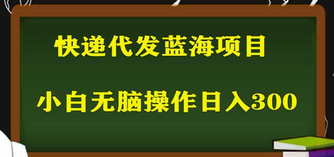 2023最新蓝海快递代发项目，小白零成本照抄也能日入300+-风淘社