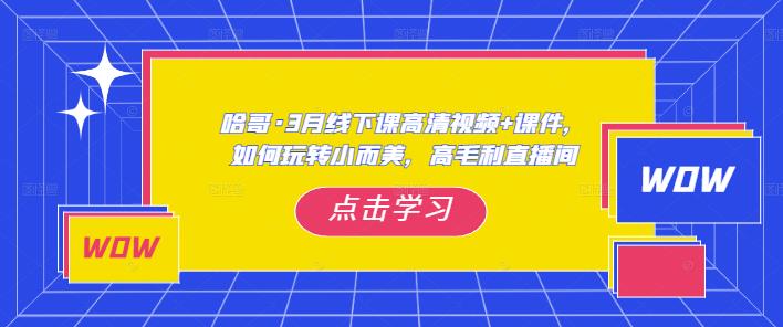 哈哥·3月线下实操课高清视频+课件,如何玩转小而美,高毛利直播间-风淘社