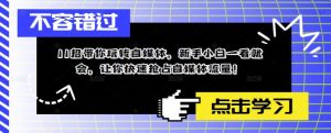 11招带你玩转自媒体，新手小白一看就会，让你快速抢占自媒体流量！-风淘社