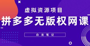 【白龙笔记】拼多多无版权网课项目,月入5000的长期项目,玩法详细拆解【揭秘】-风淘社