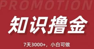 抖音知识撸金项目：简单粗暴日入1000+执行力强当天见收益(教程+资料)-风淘社