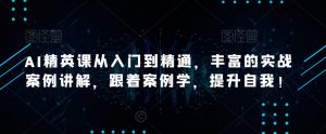 AI精英课从入门到精通,丰富的实战案例讲解,跟着案例学,提升自我!-风淘社