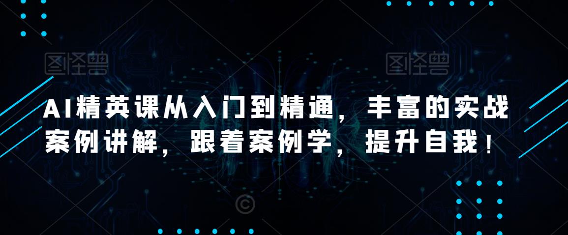 AI精英课从入门到精通,丰富的实战案例讲解,跟着案例学,提升自我!-风淘社