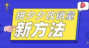 拼多多改销量新方法+卡高投产比操作方法+测图方法等-风淘社