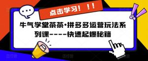 牛气学堂茶茶•拼多多运营玩法系列课—-快速起爆秘籍【更新】-风淘社