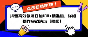 抖音高效截流日加100+精准粉，详细操作实战演示【揭秘】-风淘社