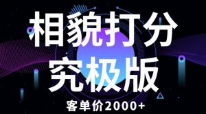 相貌打分究极版，客单价2000+纯新手小白就可操作的项目-风淘社