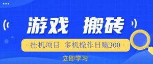 游戏挂机挂机项目,多机操作,日赚300【揭秘】-风淘社