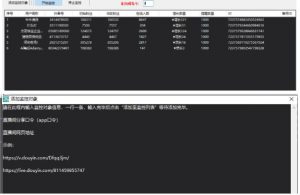 小淘项目组专用链接-风淘社