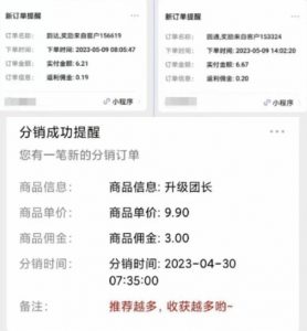 快递代发CPS,月入万元,不起眼却很赚钱的信息差项目【揭秘】-风淘社
