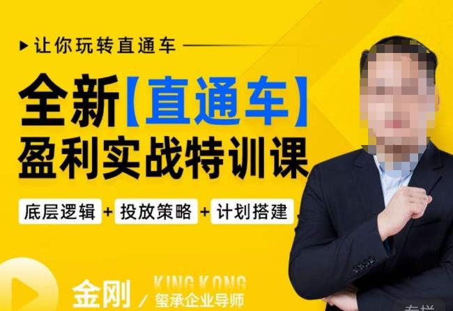 玺承·全新直通车盈利实战特训课,从底层逻辑详细拆解,从底层,策略到搭建,让你玩转直通车-风淘社