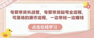 母婴带货实战营，母婴带货起号全流程，可落地的操作流程，一边带娃一边赚钱（附素材）-风淘社
