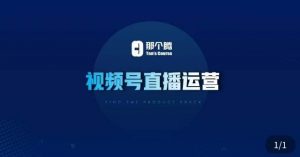 那个腾·视频号直播运营,视频号直播推流逻辑/流量渠道解析/直播起号攻略/直播实操技巧-风淘社