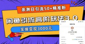 亲测日引50+精准粉,闲鱼引流高阶玩法3.0,实操变现3000元【揭秘】-风淘社