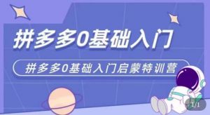 拼多多运营0-1实操特训营,拼多多0基础入门,从基础到进阶的可实操玩法-风淘社
