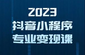 2023年抖音小程序变现保姆级教程,0粉丝新号,无需实名,3天起号,第1条视频就有收入-风淘社