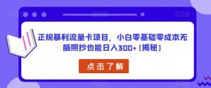 正规暴利流量卡项目,小白零基础零成本无脑照抄也能日入300+【揭秘】-风淘社