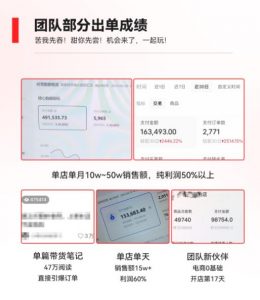2023小红书电商火爆全网,新晋红利,风口项目,单店收益在3000-30000!-风淘社