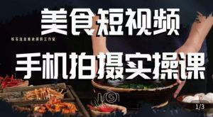 烁石·美食视频手机拍摄实操课，​美食摄影理论、手机拍摄相关设置、剪辑调色、布光原理等内容-风淘社
