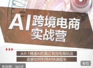 白龙老师·AI跨境电商实战营：从0-1精通Al的真正有效电商玩法，卖家如何利用Al快速超车-风淘社