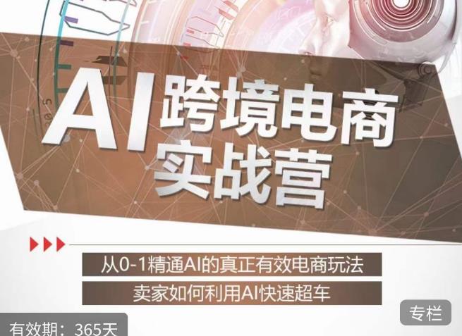 白龙老师·AI跨境电商实战营：从0-1精通Al的真正有效电商玩法，卖家如何利用Al快速超车-风淘社