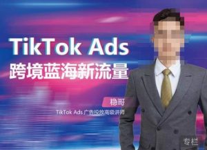 稳哥·如何投出高ROI的TikTok广告,开拓独立站卖家流量新蓝海-风淘社