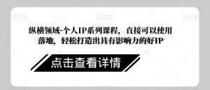 纵横领域·个人IP系列课程,直接可以使用落地,轻松打造出具有影响力的好IP-风淘社