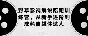 野草影视解说陪跑训练营,从新手进阶到成熟自媒体达人-风淘社