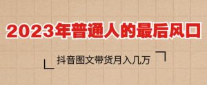 2023年普通人的最后风口,抖音图文带货月入几万,只需一部手机即可操作-风淘社