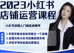 陶金金·2023小红书店铺运营课,小红书店铺入门实战教学-风淘社