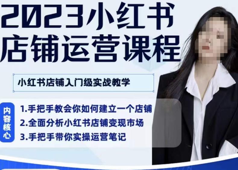 陶金金·2023小红书店铺运营课,小红书店铺入门实战教学-风淘社