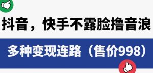 抖音快手不露脸撸音浪项目,多种变现连路(售价998)-风淘社