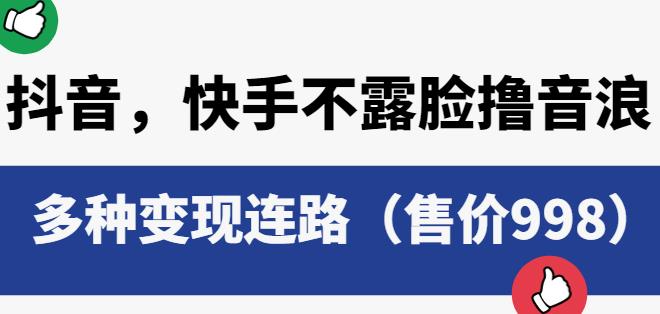 抖音快手不露脸撸音浪项目，多种变现连路（售价998）-风淘社